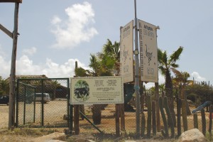 Struisvogel farm Aruba